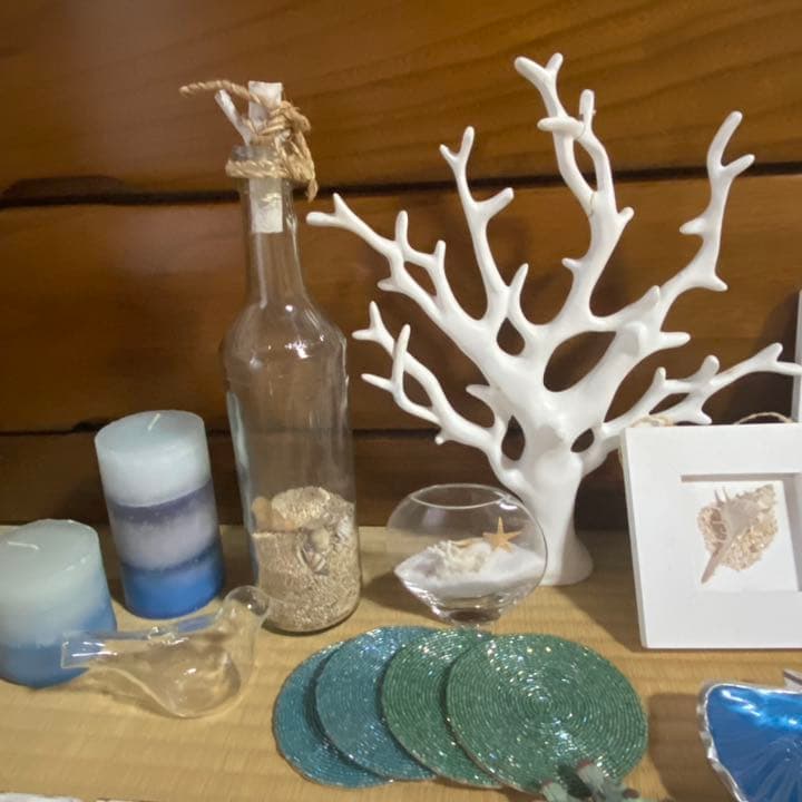 インテリア 海 マリン 貝 サンゴ ブルー ビーチ