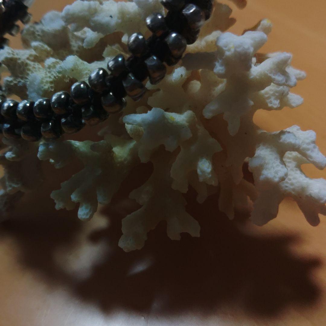 おみそaccessories mau アクセサリーマウ カレンシルバー