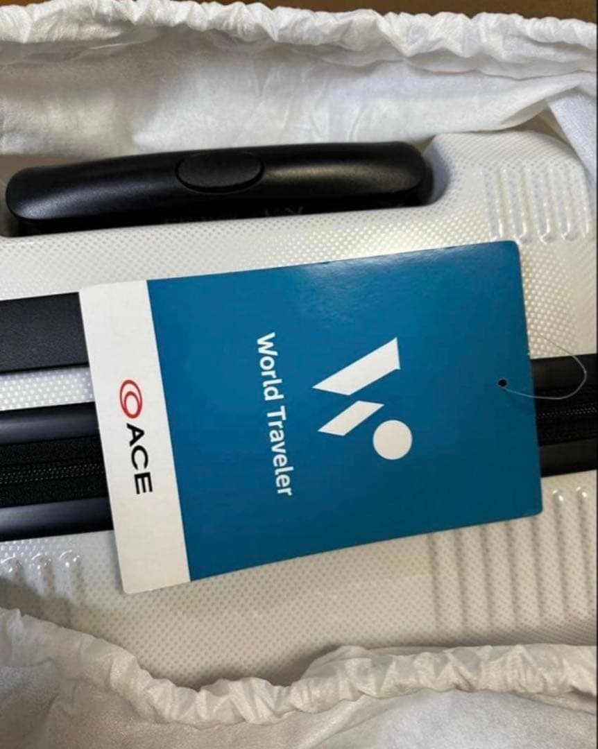 上野 パンダファミリー 松坂屋 リーリー シンシン シャンシャン レイレイ