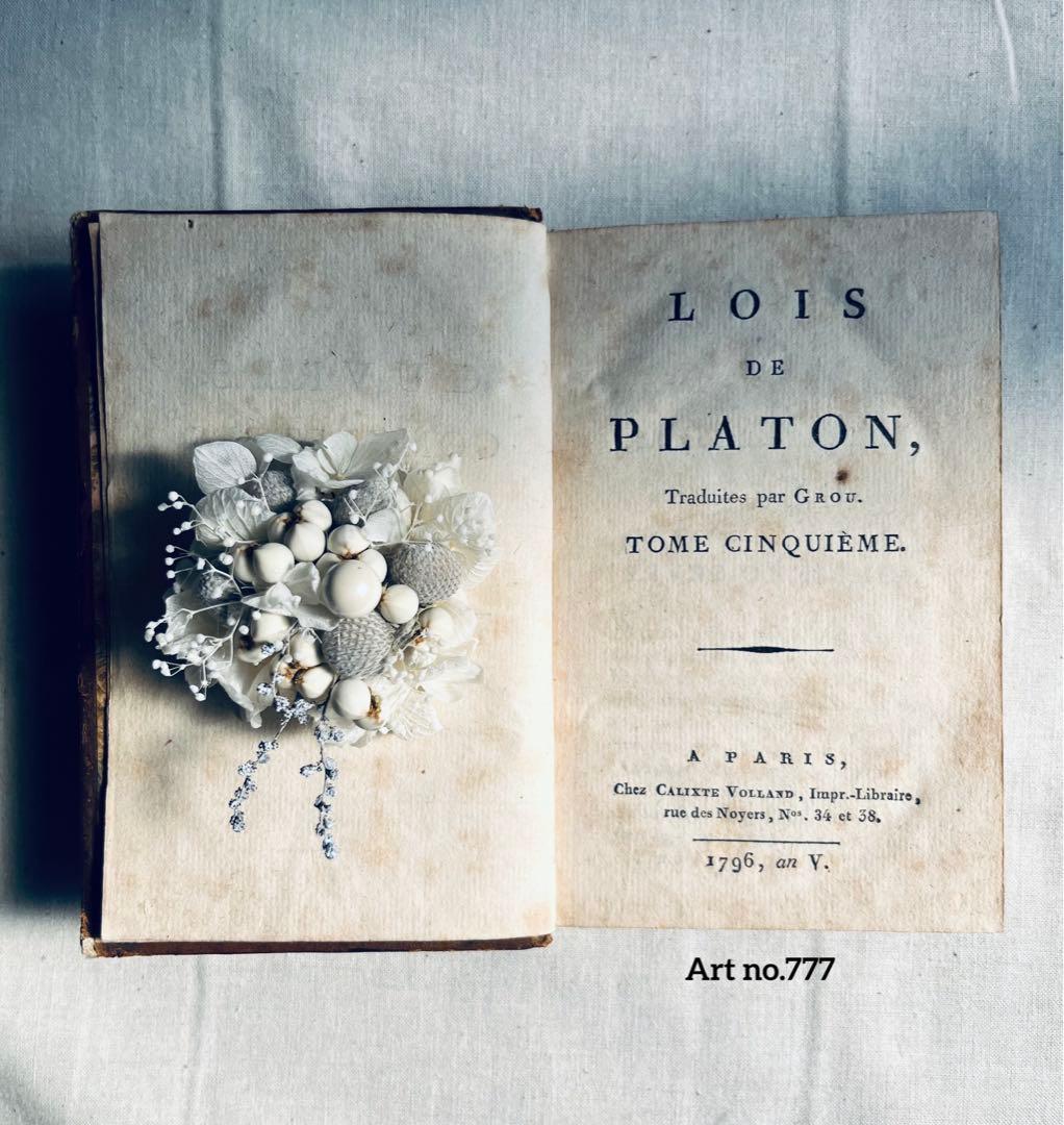 フラワー・ガーデニング corsage no.777