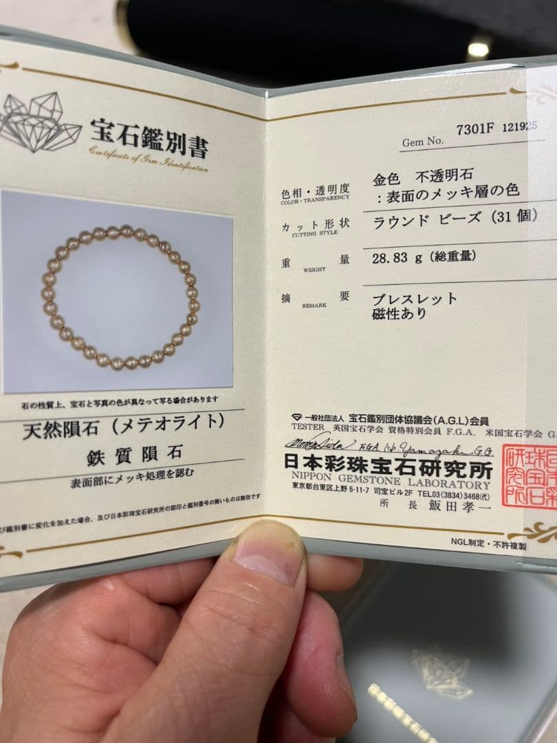 6【希少・鑑別書付】天然隕石ギベオン｜宇宙の守護石・開運お守り