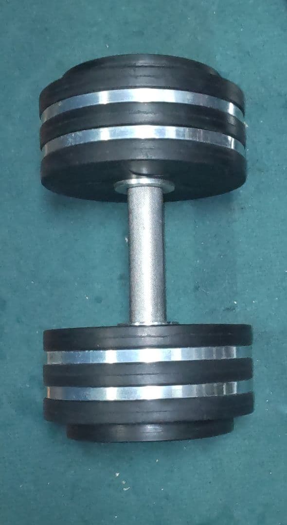 ELEIKO 30kg ダンベル 2個 回転式