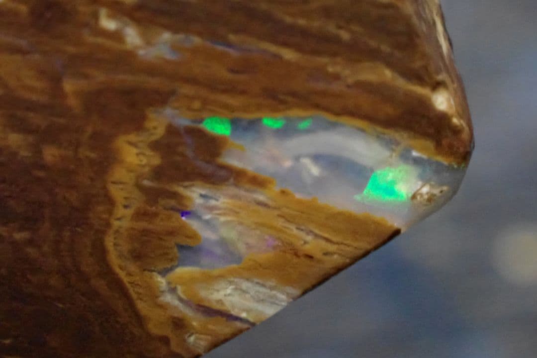 ウッドオパール　原石　オーストラリア　送料無料