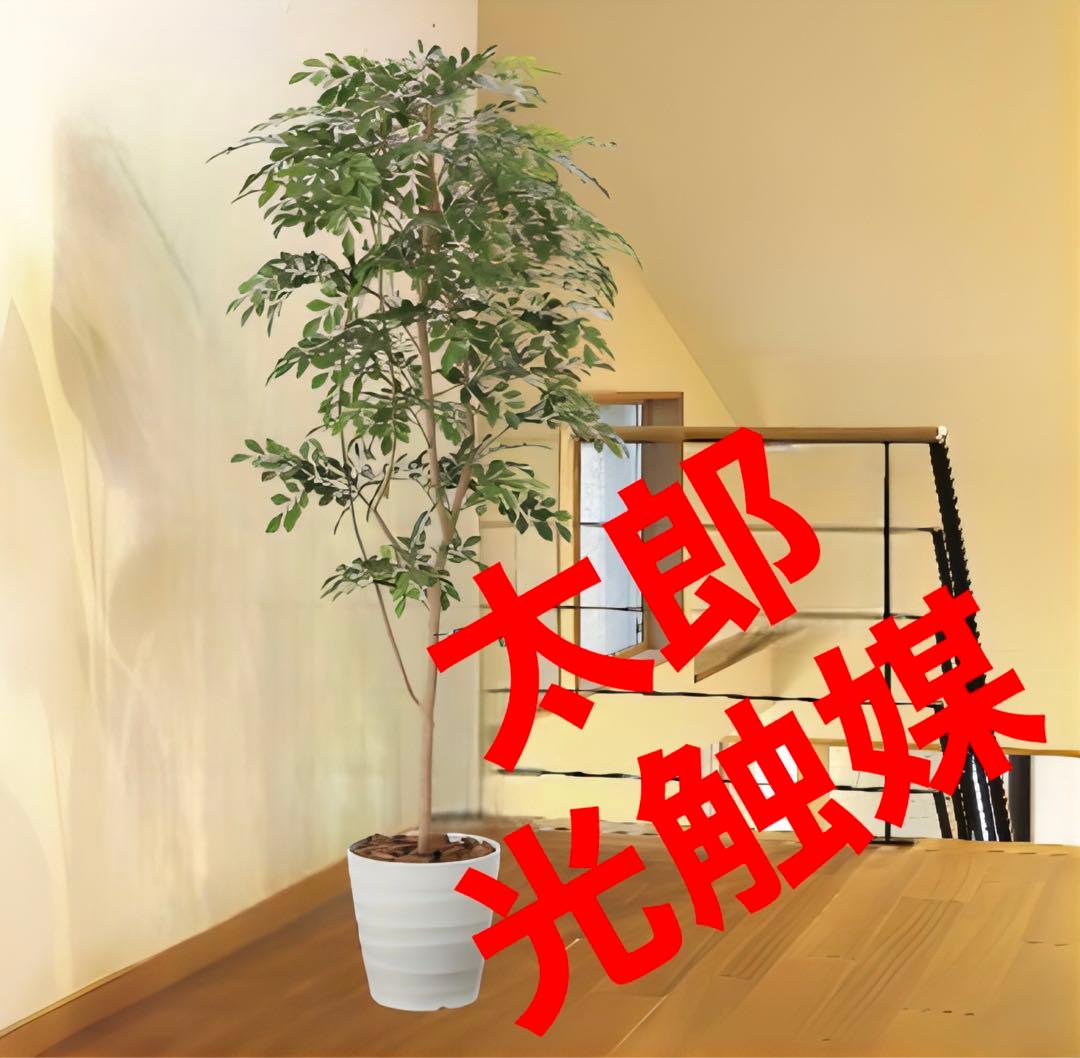光触媒　人工観葉植物　ウォールグリーン　フェイクグリーン　トネリコ180