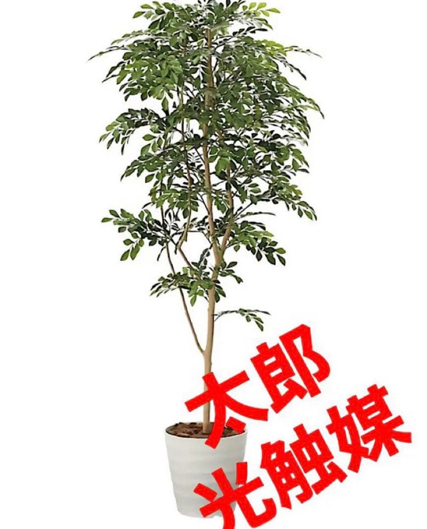 光触媒　人工観葉植物　ウォールグリーン　フェイクグリーン　トネリコ180