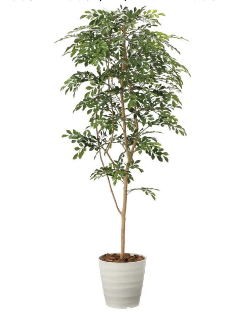 光触媒　人工観葉植物　ウォールグリーン　フェイクグリーン　トネリコ180