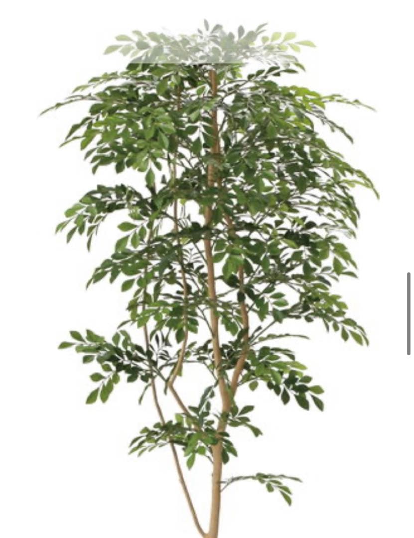 光触媒　人工観葉植物　ウォールグリーン　フェイクグリーン　トネリコ180