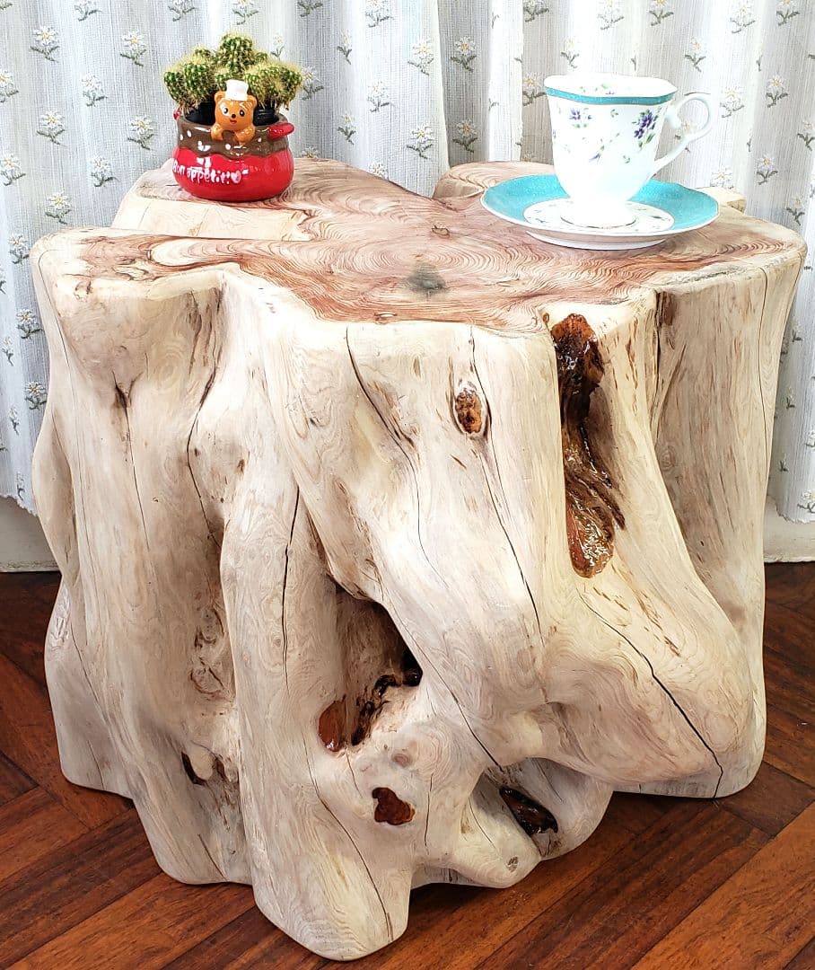 貝塚伊吹希少サイズ丸太