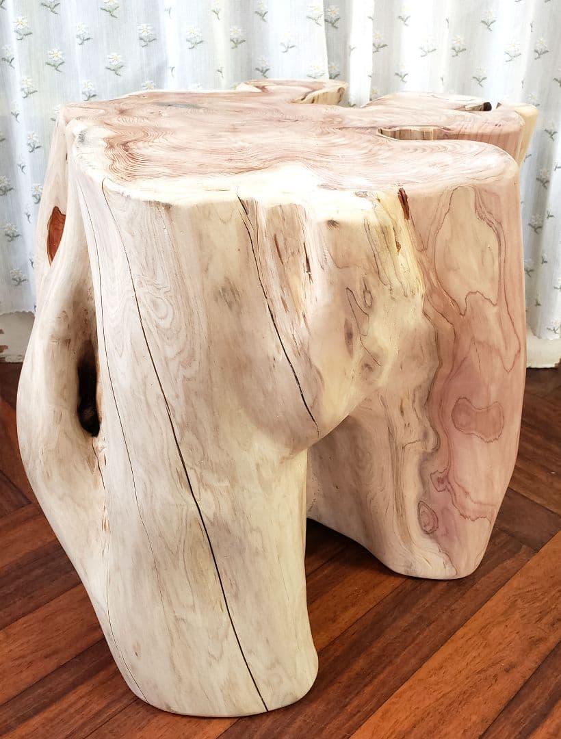 貝塚伊吹希少サイズ丸太