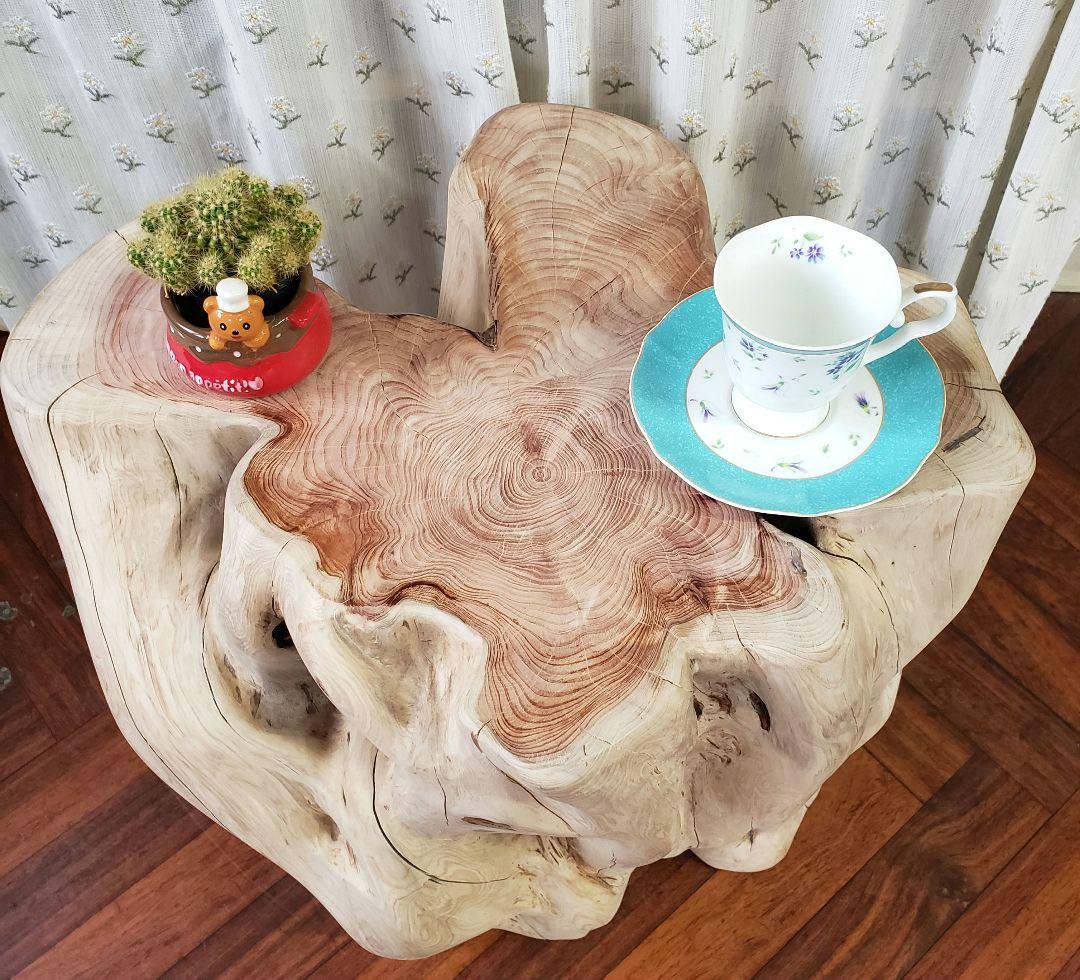 貝塚伊吹希少サイズ丸太