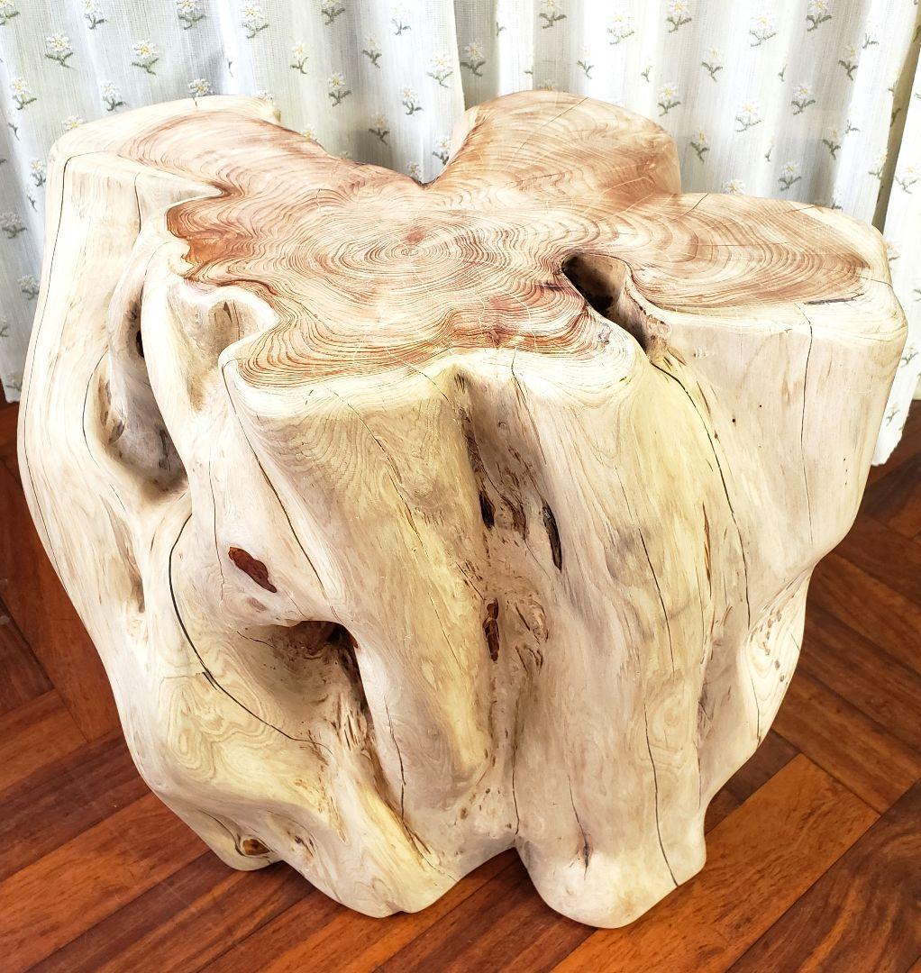 貝塚伊吹希少サイズ丸太