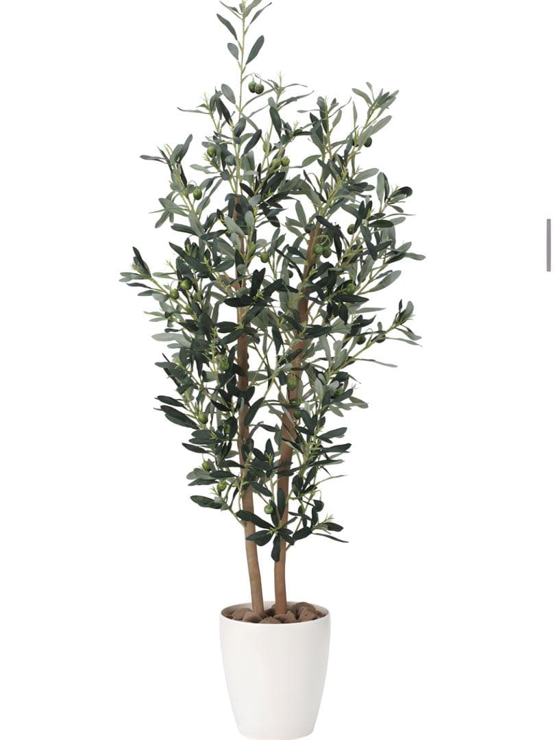 光触媒　人工観葉植物　ウォールグリーン　フェイクグリーン　オリーブ1.2m