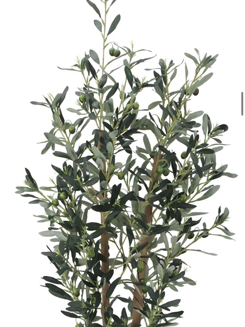 光触媒　人工観葉植物　ウォールグリーン　フェイクグリーン　オリーブ1.2m