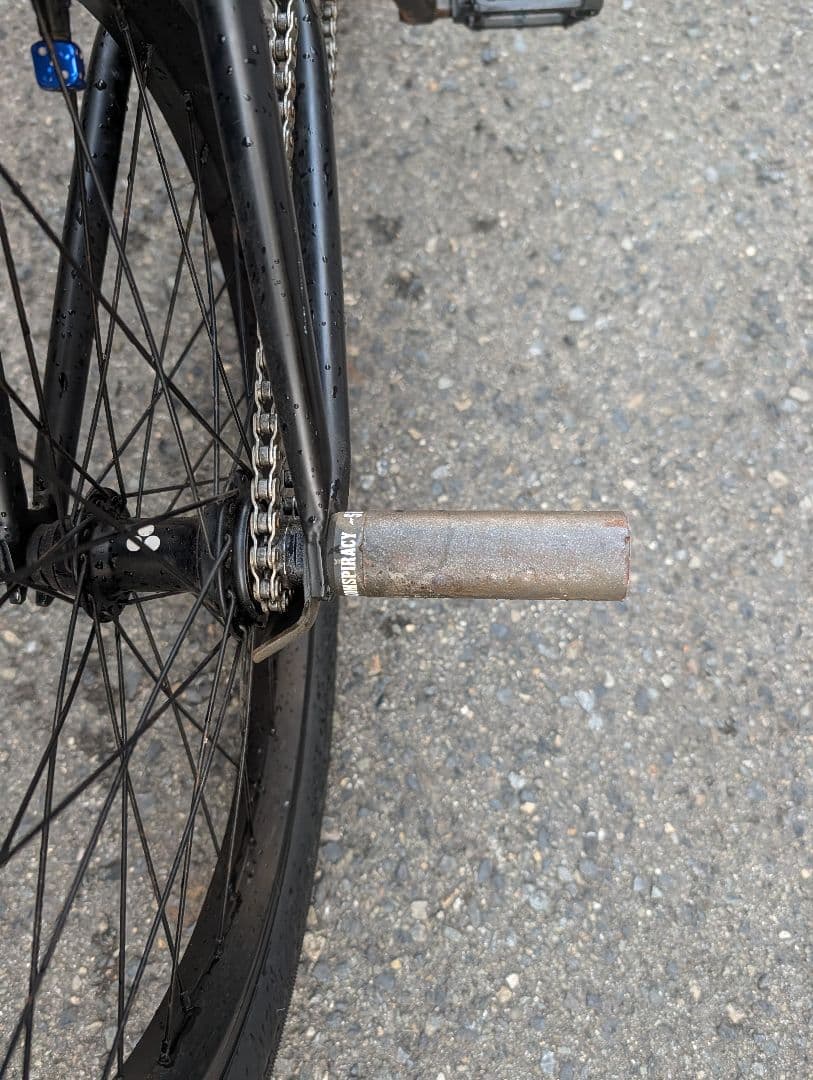 自転車本体 Flybikes BMX Electron