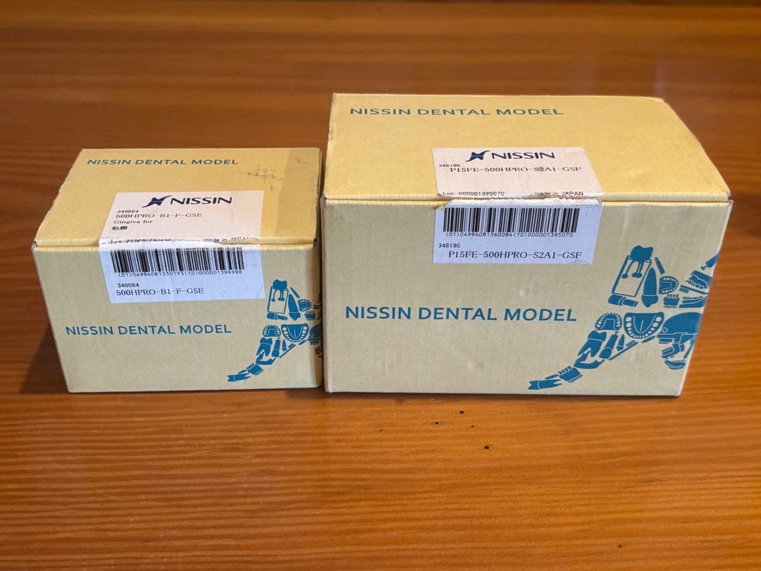 NISSIN ニッシン額模型 歯科用器具