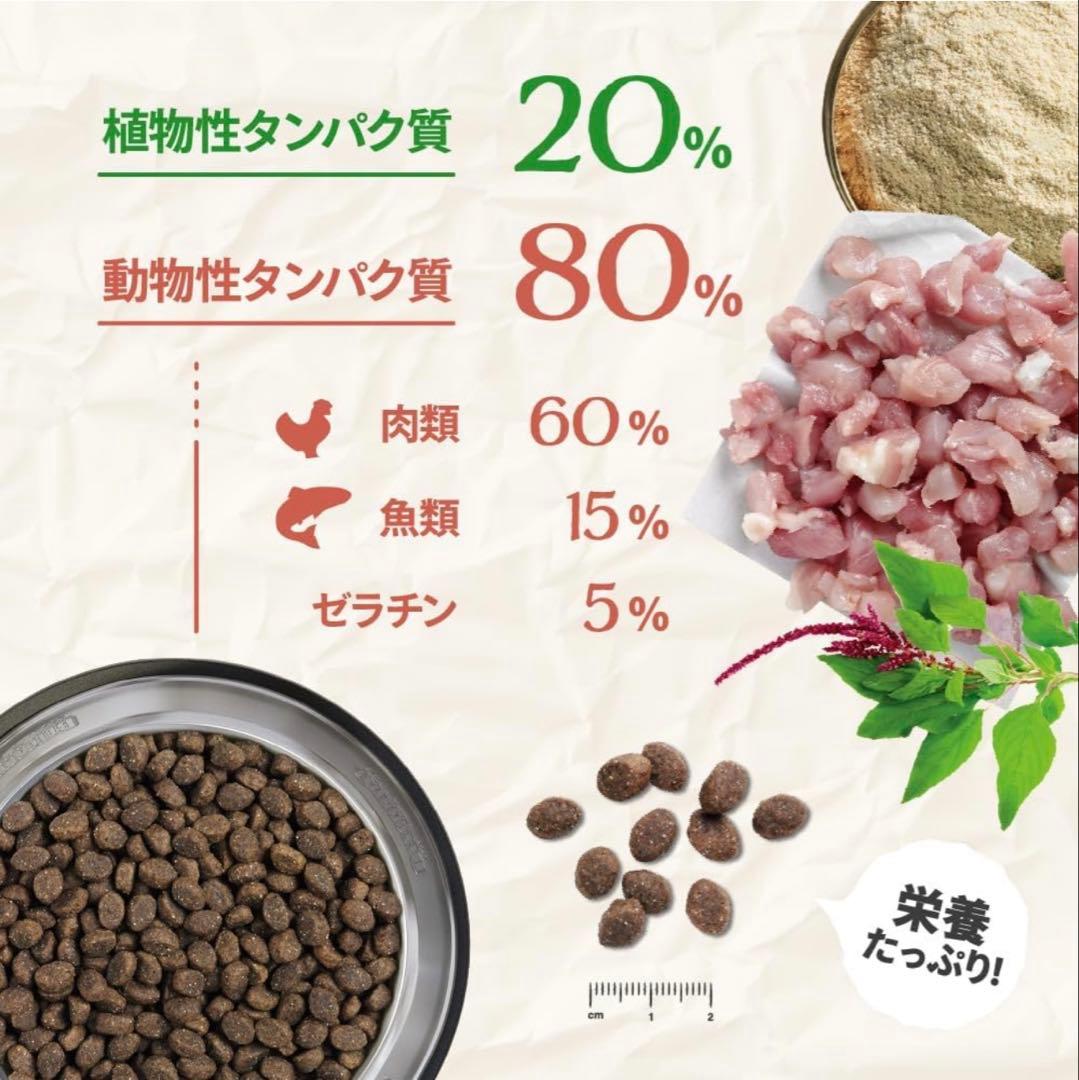 ドッグフード BELCANDO PUPPY GF POULTRY 800g & 3kg