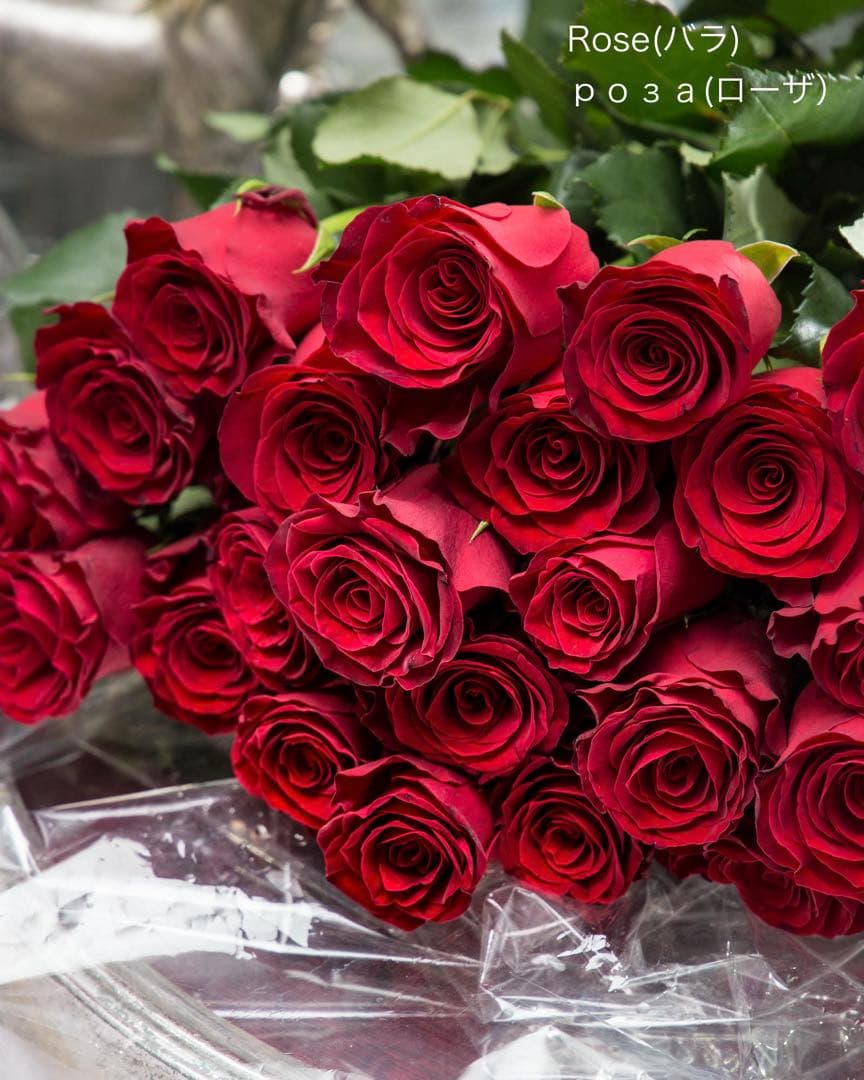 ロシア雑貨☆イースターエッグ型カービングマトリョーシカ(3P)フラワーバスケット