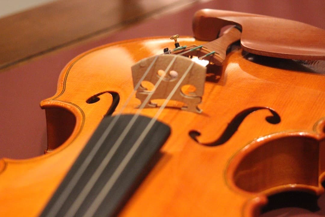 【1/5更新.製作楽器②】バイオリン(クレモネーゼモデル) 4/4 2025