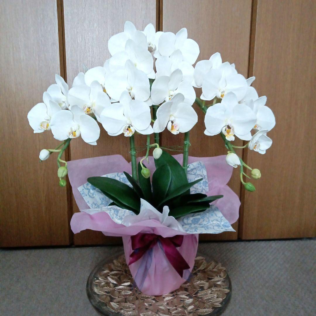 専用 3本立ち 大輪胡蝶蘭 クレイフラワー