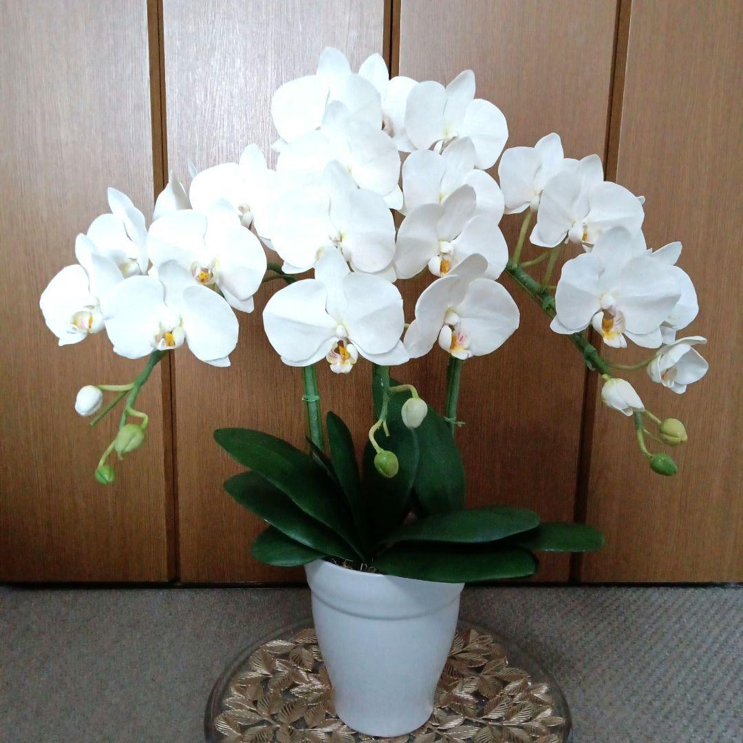 専用 3本立ち 大輪胡蝶蘭 クレイフラワー