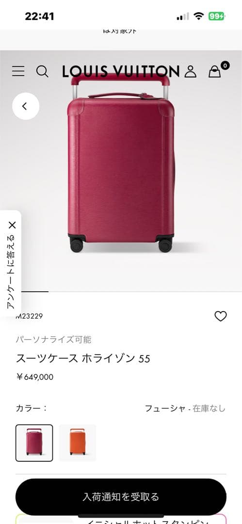 ルイヴィトン　スーツケースホライゾン55 エピ