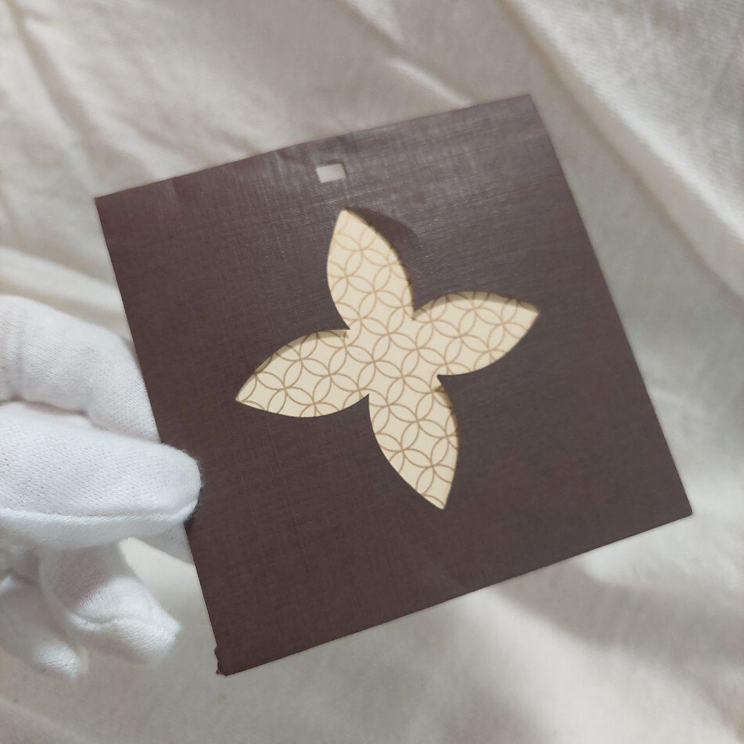 Louis Vuitton アクセサリーケース※新品ですが経年劣化あり