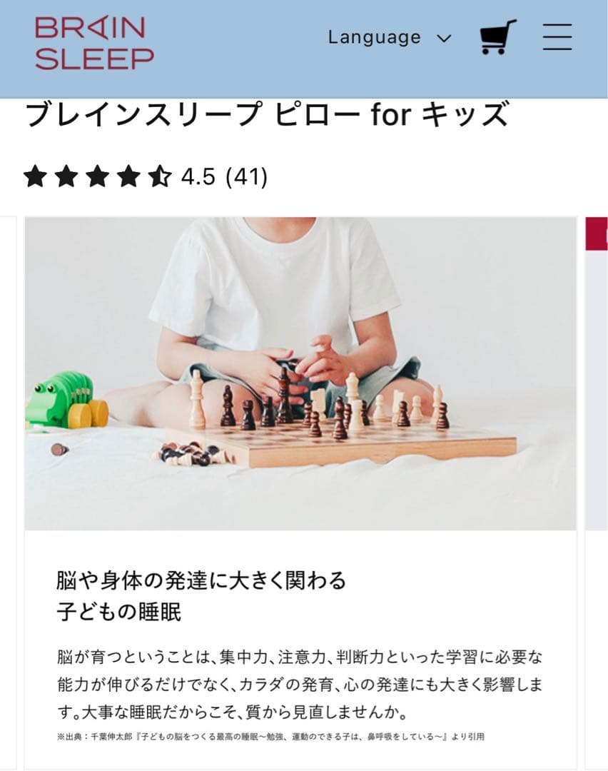 【美品】ブレインスリープ ピロー キッズ / ほぼ未使用 / 専用バッグ付