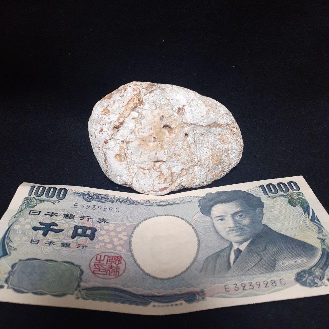 人生をやり直したい　人生を変えたい貴方へ　金運波動　チャネンリング　波動石