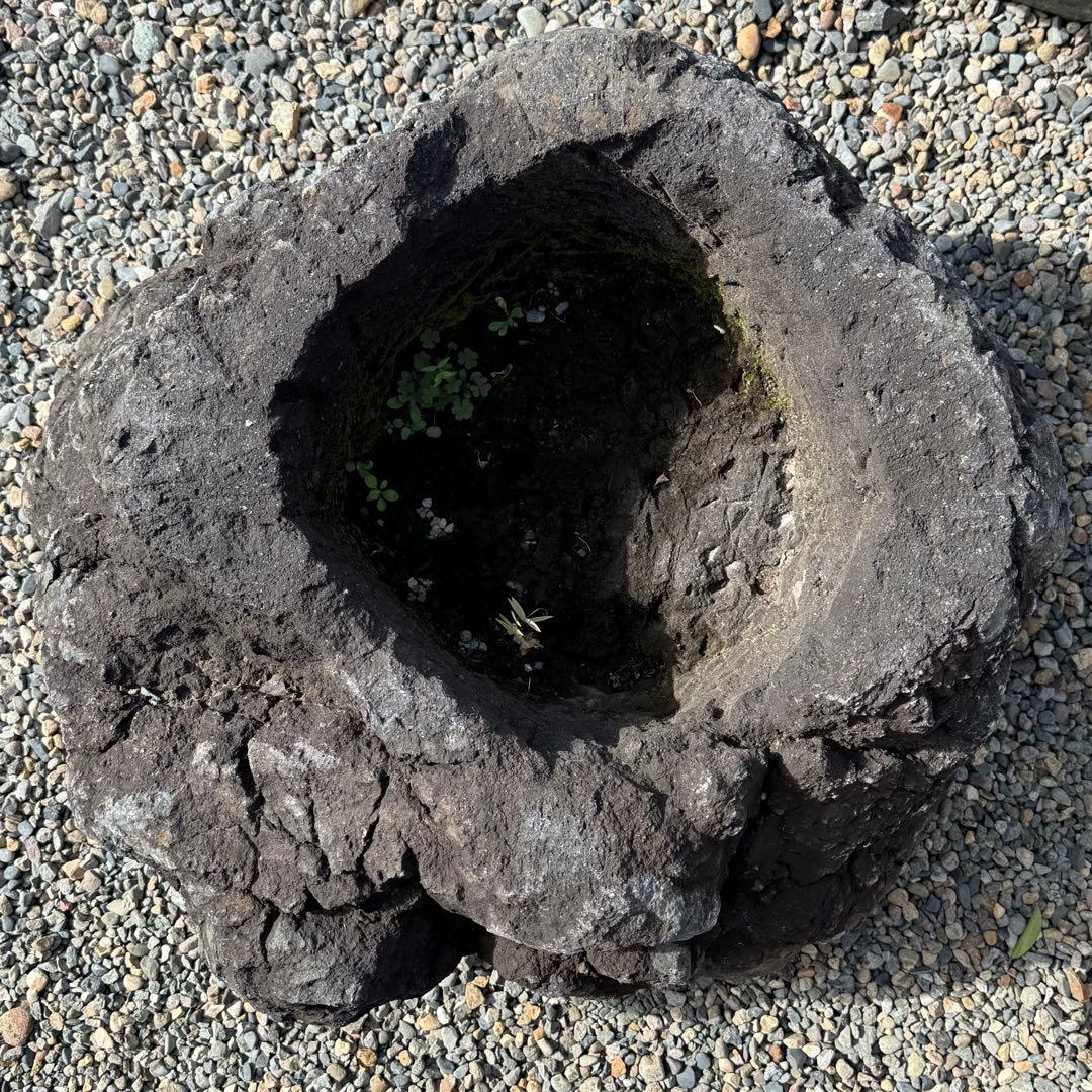 溶岩石の植木鉢、岩鉢。