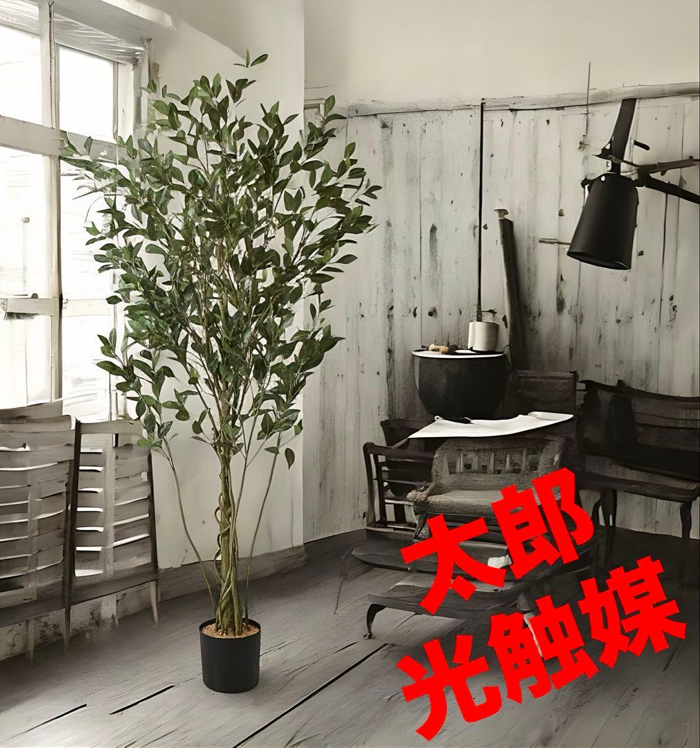 光触媒　人工観葉植物　ウォールグリーン　フェイクグリーン　フィカスシャングリア