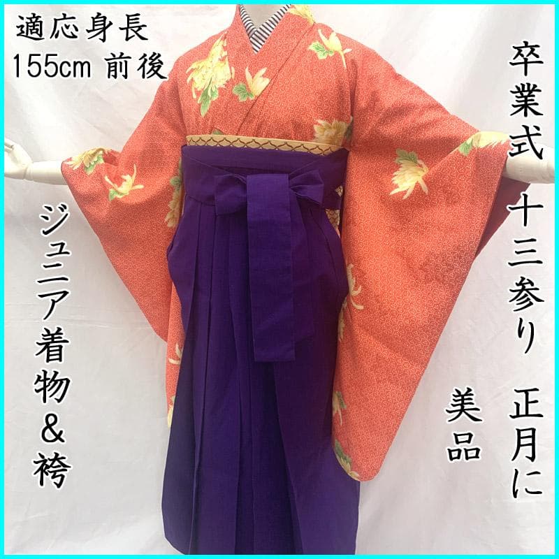 411aj33■卒業式 十三参り ジュニア 着物＆袴 菊■美品