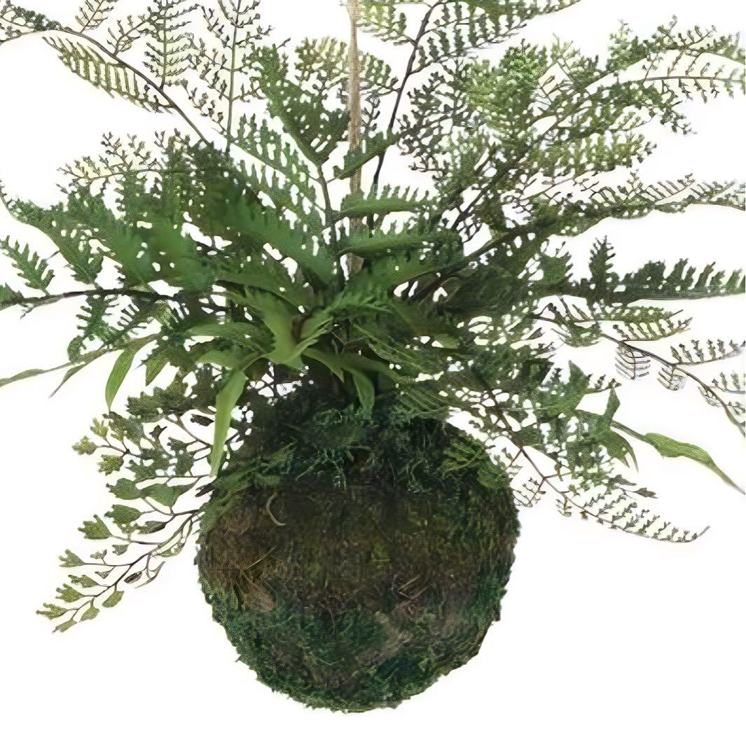 光触媒　人工観葉植物　フェイクグリーン　ミックスファンモスボール