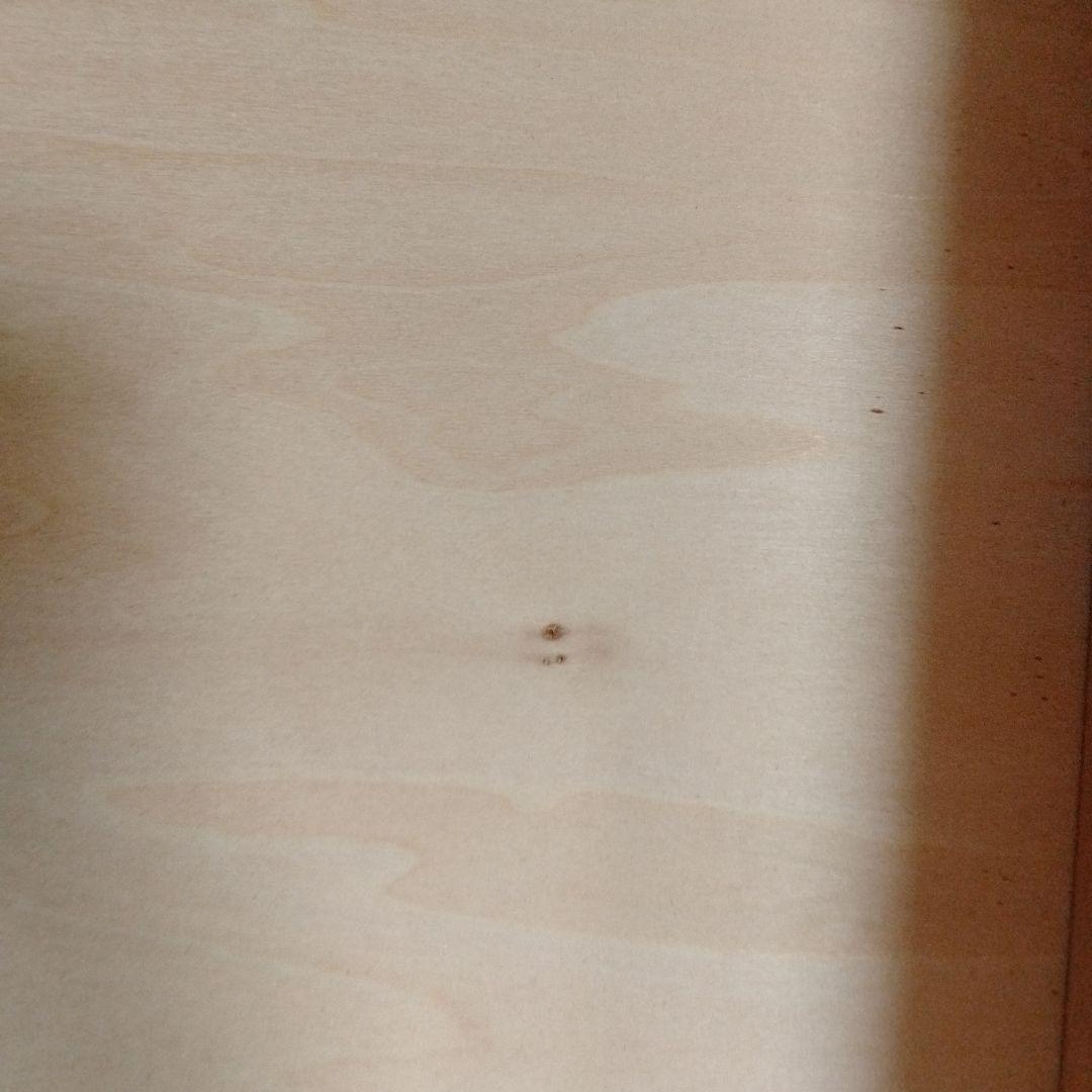 神居民芸　神居民藝