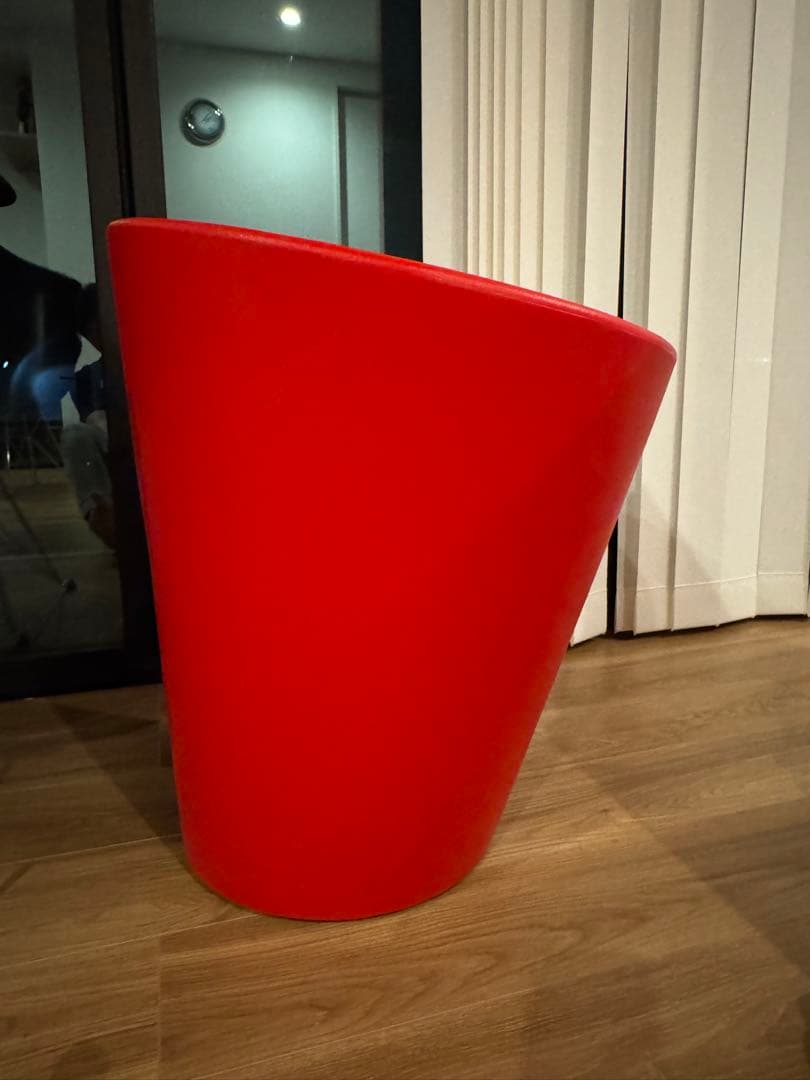 セラルンガ　赤　鉢　インテリア　観葉植物