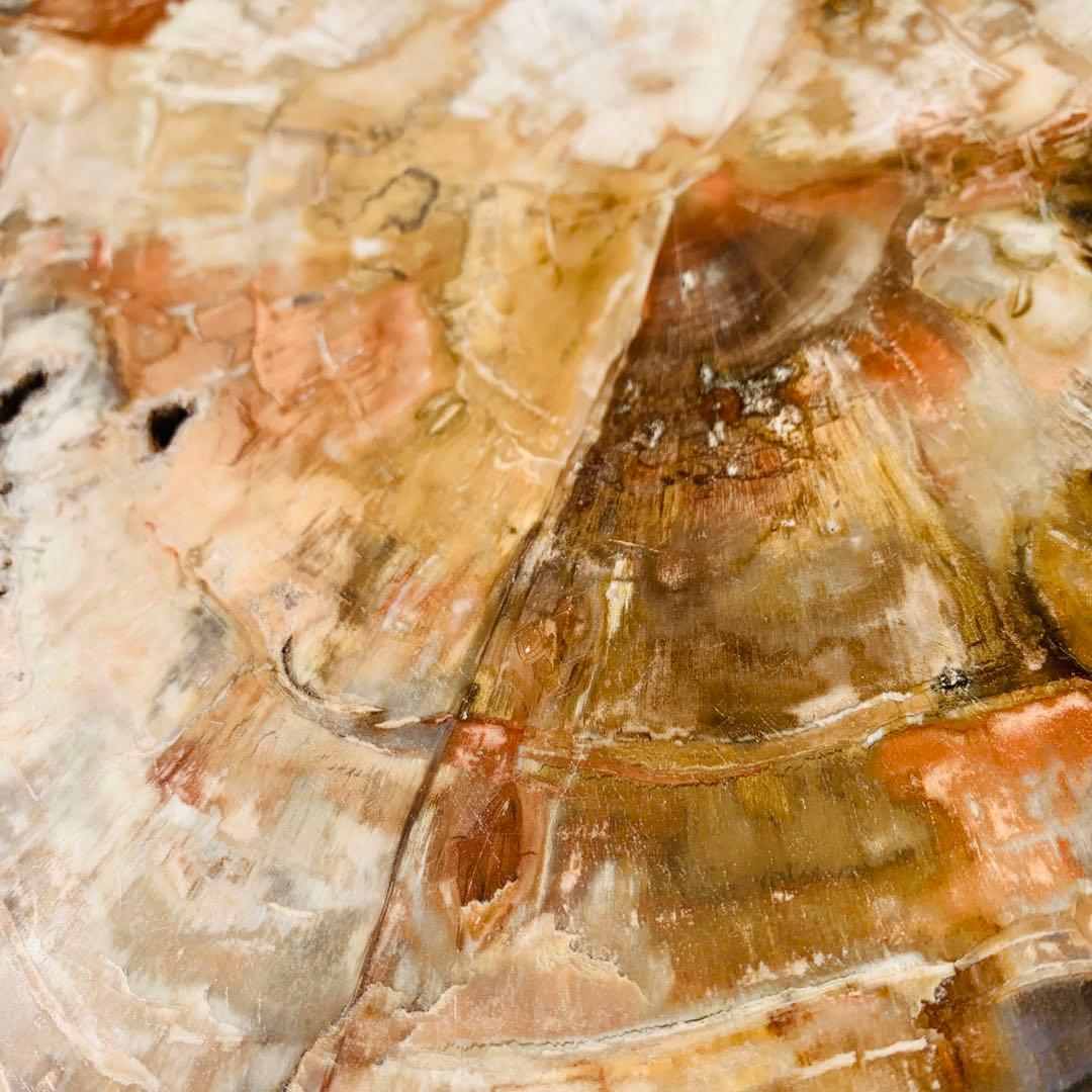 【⭐️超巨大‼︎約2億5000万年の樹木化石⭐️】茶色 ブラジル産 珪化木 天然原石