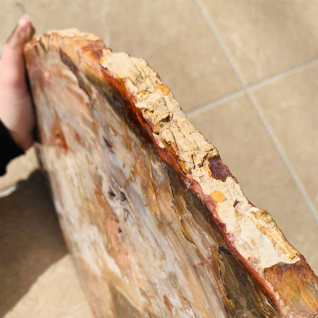 【⭐️超巨大‼︎約2億5000万年の樹木化石⭐️】茶色 ブラジル産 珪化木 天然原石