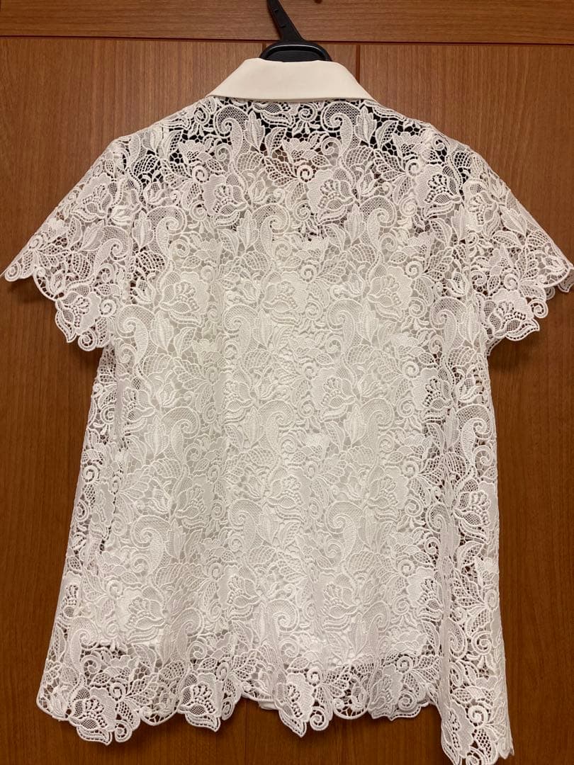JENNE総レースブラウス