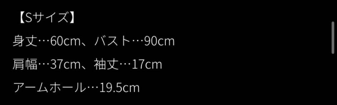 JENNE総レースブラウス