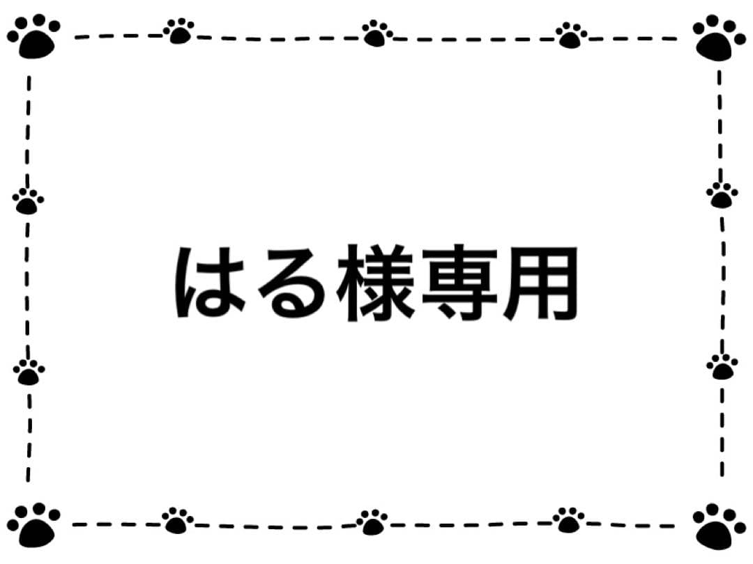 ⑨NC成犬 超小型犬〜小型犬 ラム 16kg