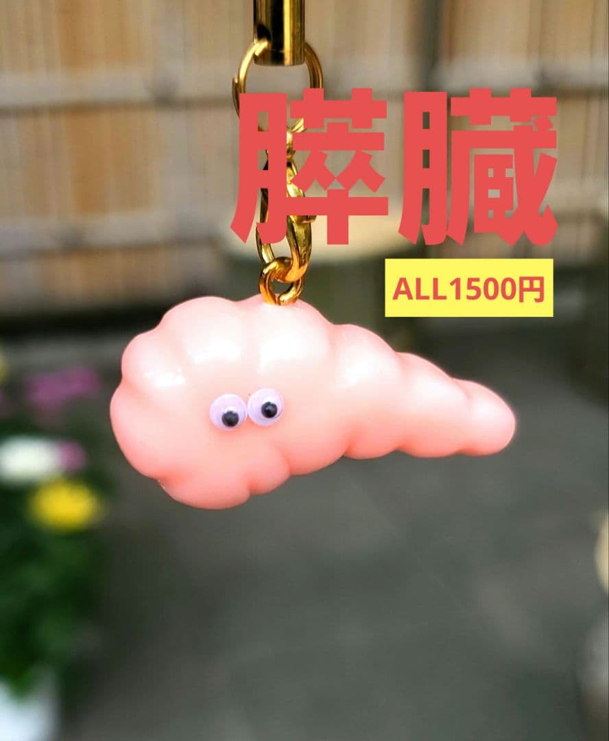 膵臓　手作り　臓器　キーホルダー　看護