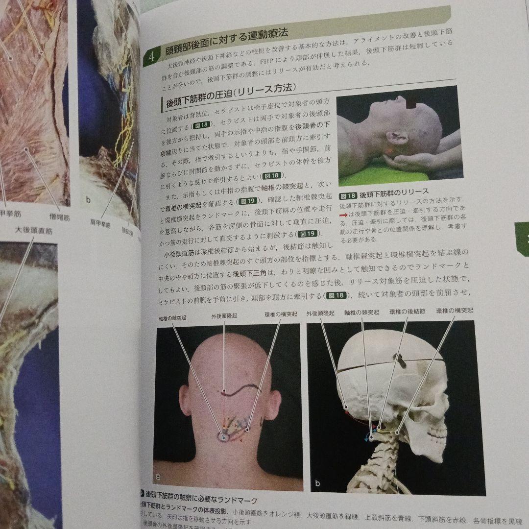 運動療法　その前に！運動器の臨床解剖アトラス