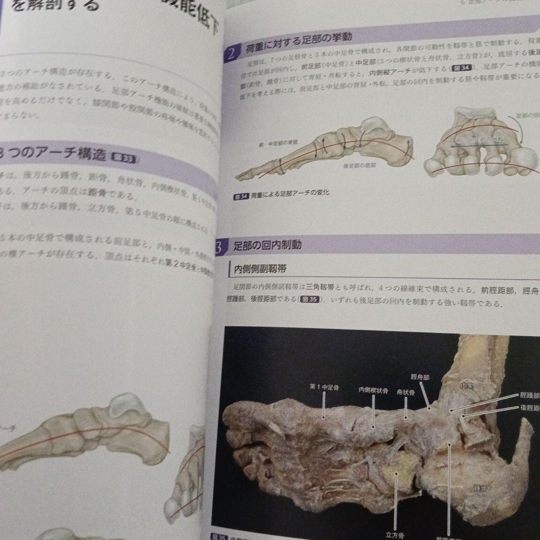 運動療法　その前に！運動器の臨床解剖アトラス