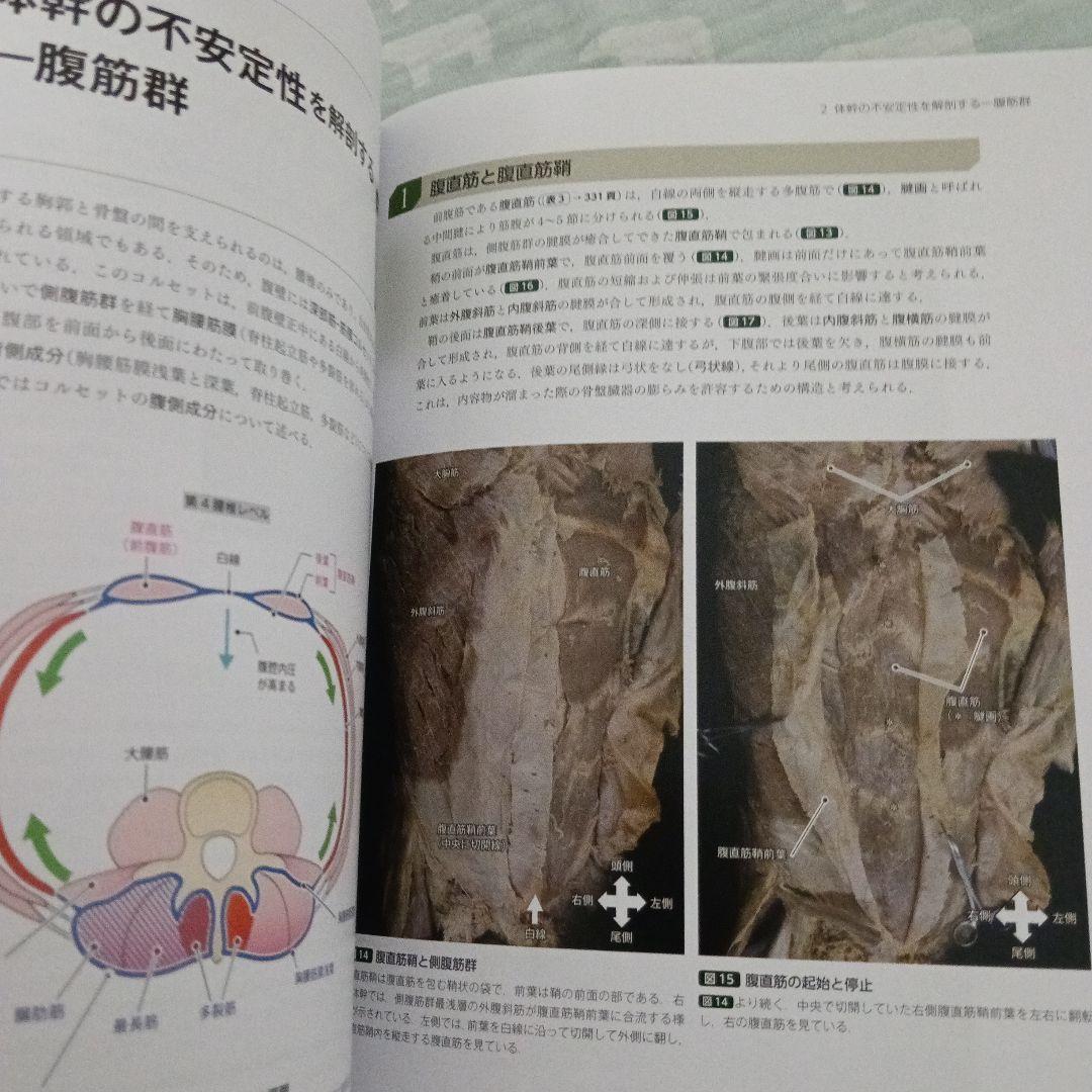 運動療法　その前に！運動器の臨床解剖アトラス