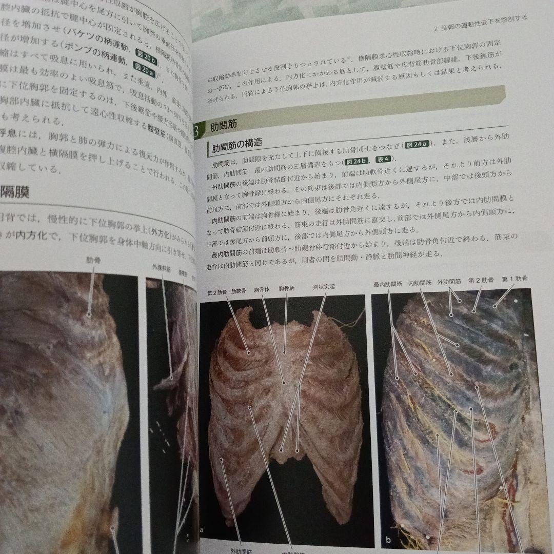 運動療法　その前に！運動器の臨床解剖アトラス