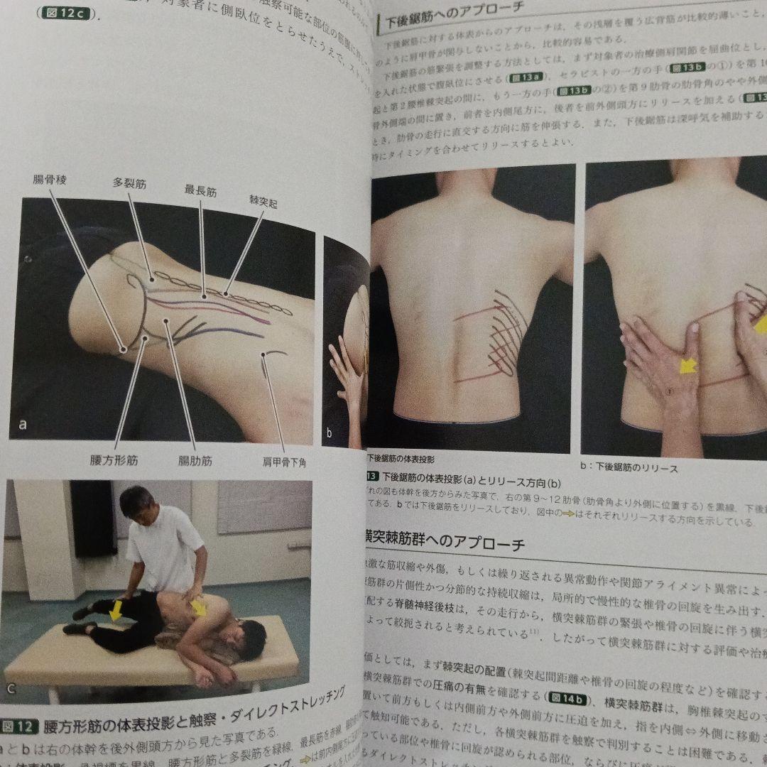 運動療法　その前に！運動器の臨床解剖アトラス