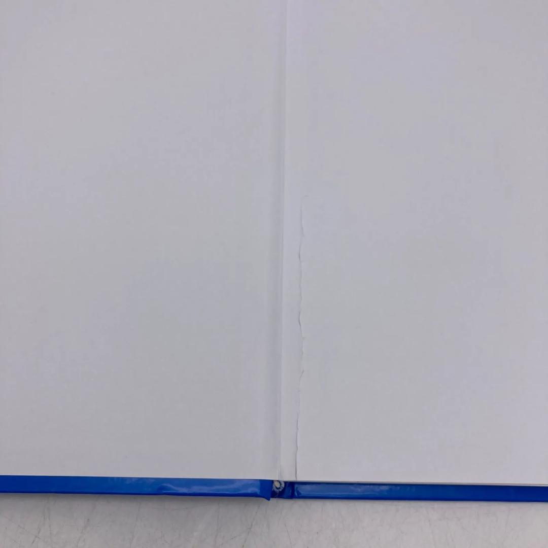 シングアロング ブルーレイ　最新　DWE　ディズニー英語システム　504626