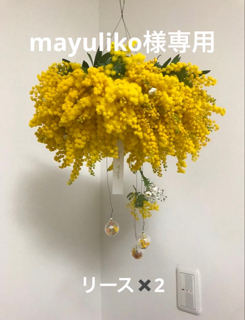 ミモザフライングリース