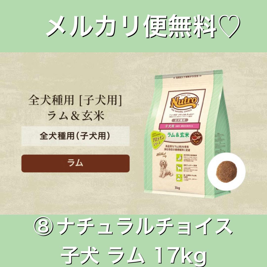 メルカリ便無料♡⑧ナチュラルチョイス 子犬 ラム 17kg
