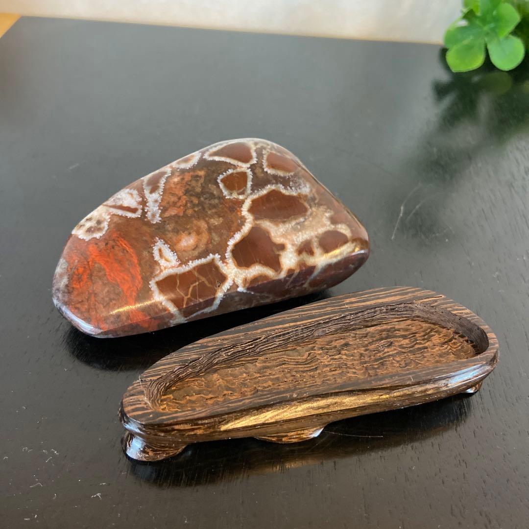 菊花石　★鑑賞石　美石　水石　盆栽