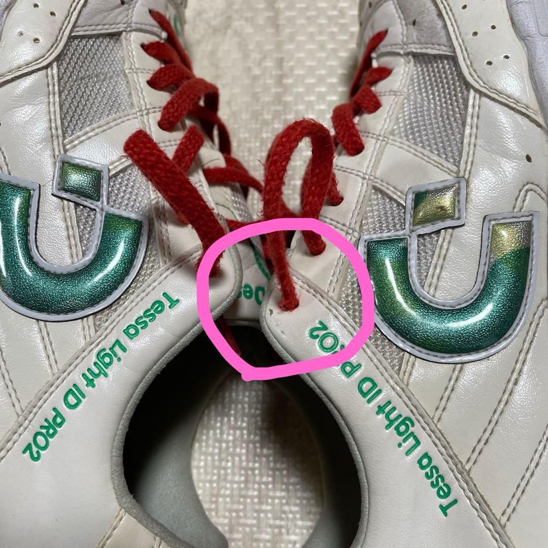 Desporte テッサライトID PROⅡ